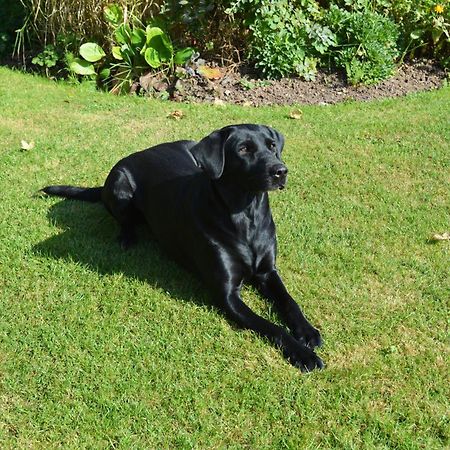 The Dinney B&B Bridgnorth Luaran gambar