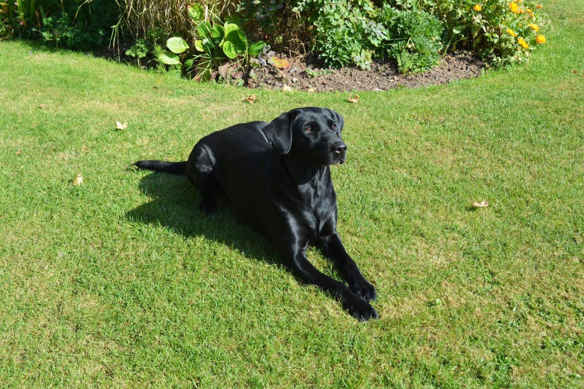The Dinney B&B Bridgnorth Luaran gambar