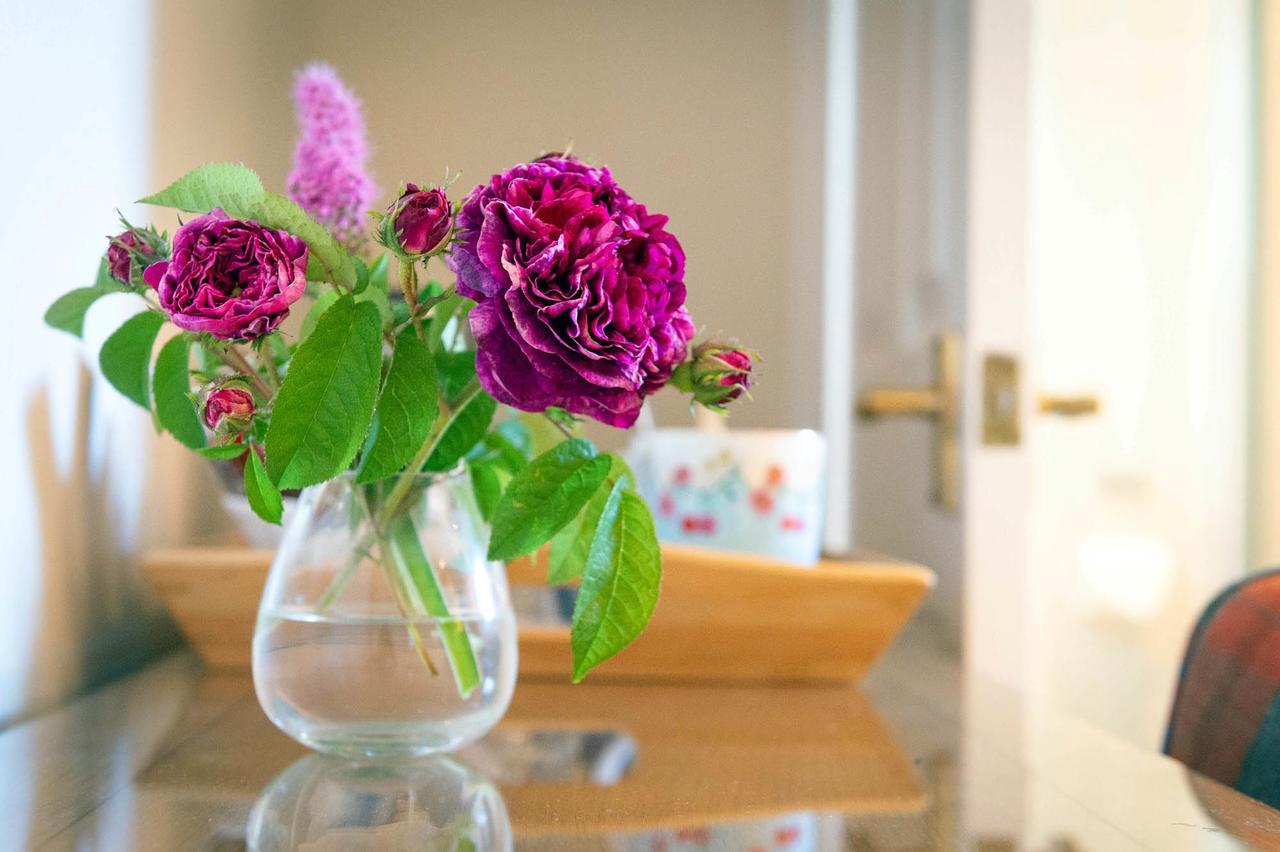 The Dinney B&B Bridgnorth Luaran gambar